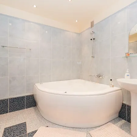 Apartment Large Downtown