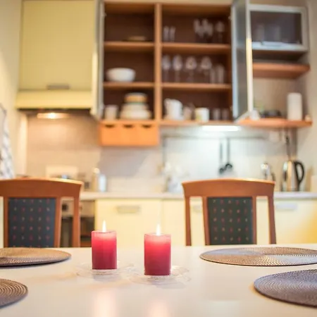 Apartman Large Downtown Tallinn