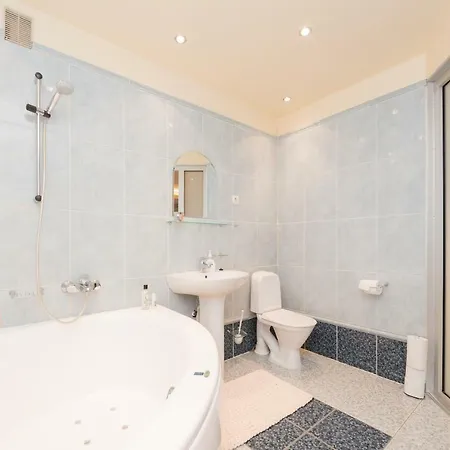 Apartman Large Downtown *