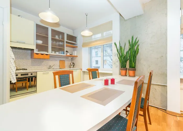 Large Downtown Apartman *