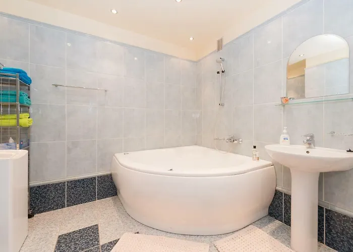 公寓 Large Downtown