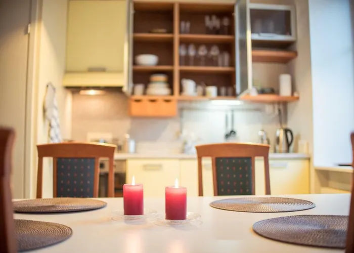 Apartman Large Downtown Tallinn