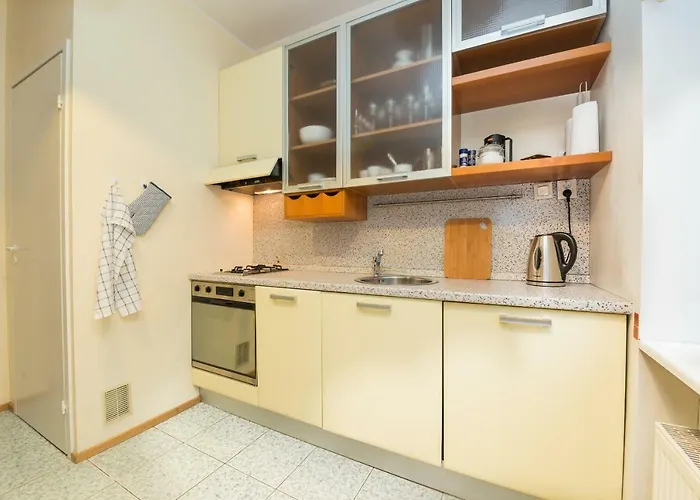 Large Downtown Apartman *