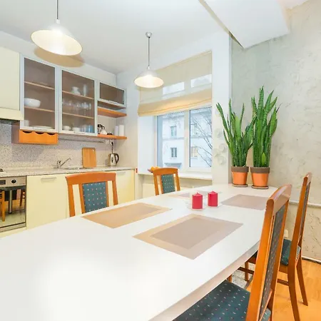 Large Downtown Appartement *