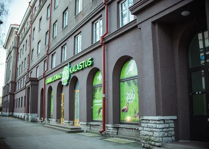 דירה Large Downtown *